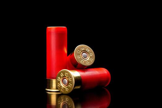 Shotgun